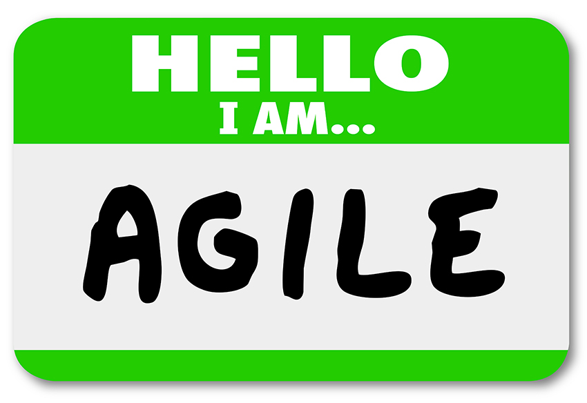Meet Agile Methodology.