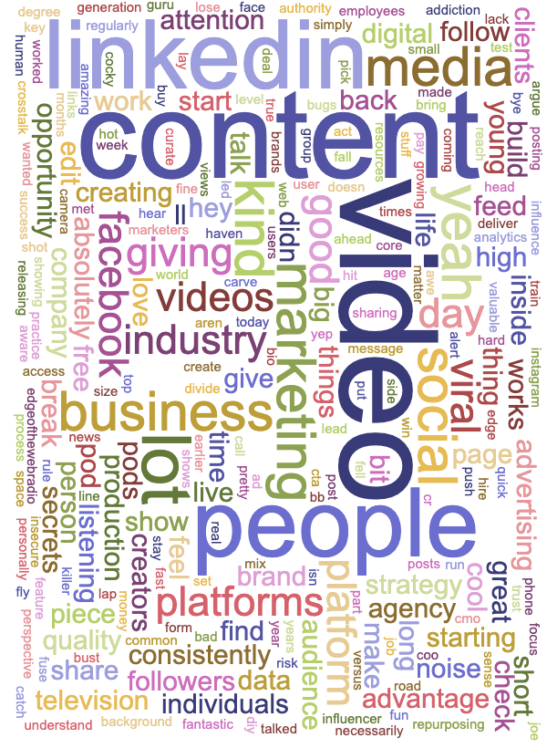 An interview transcript, arranged into wordart